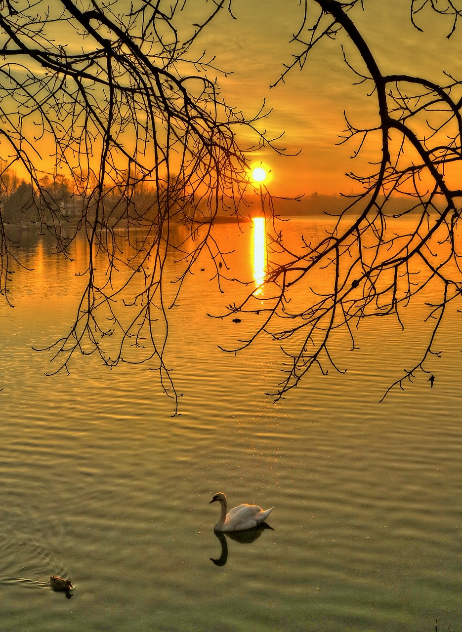 sunset lake sunsets free photo