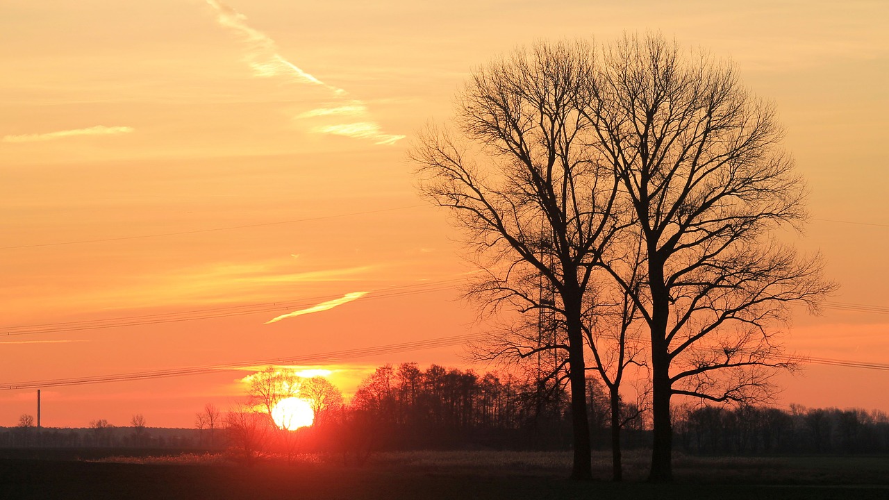 sunset trees lake free photo