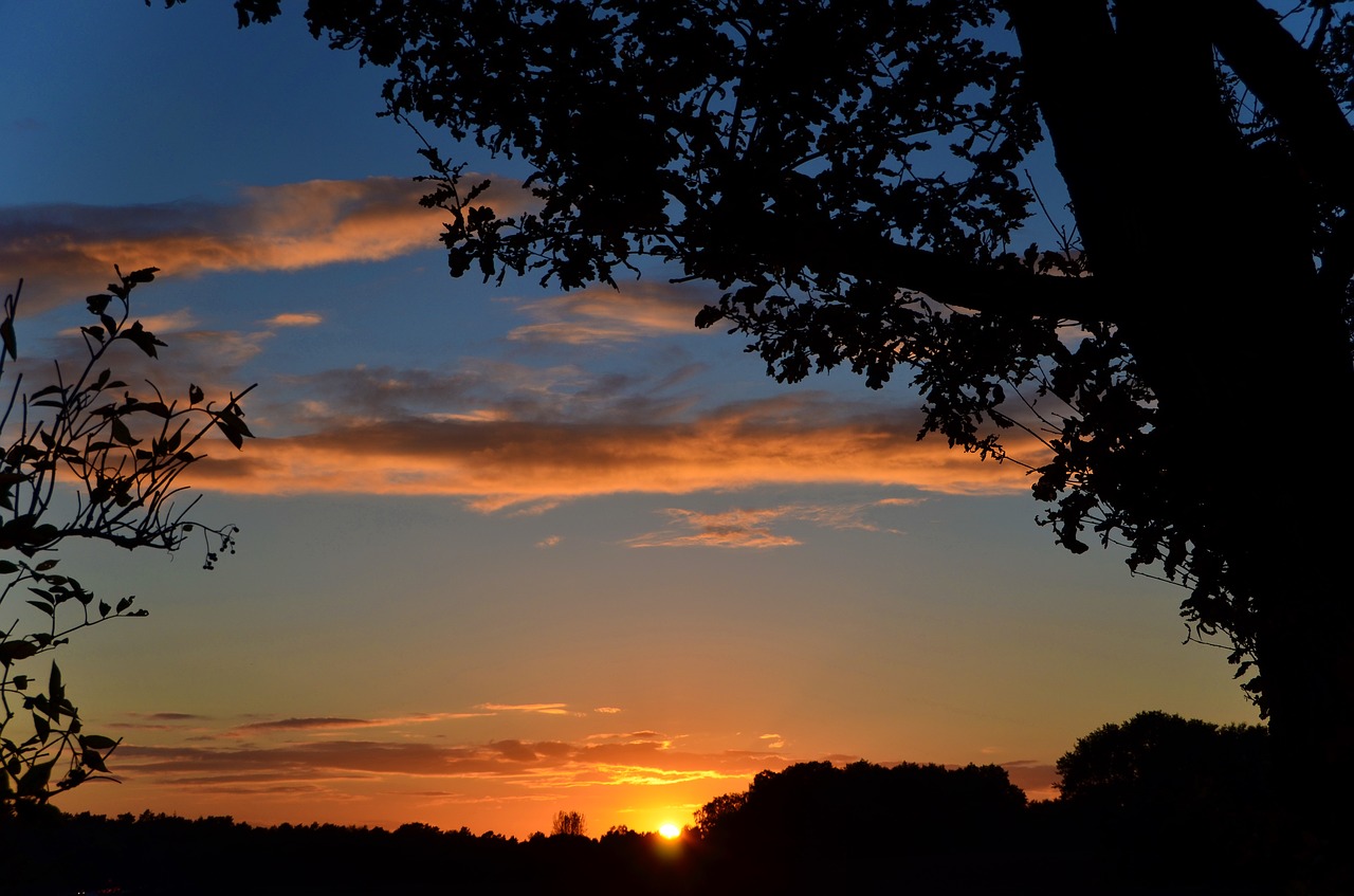 sunset sun silhouette free photo