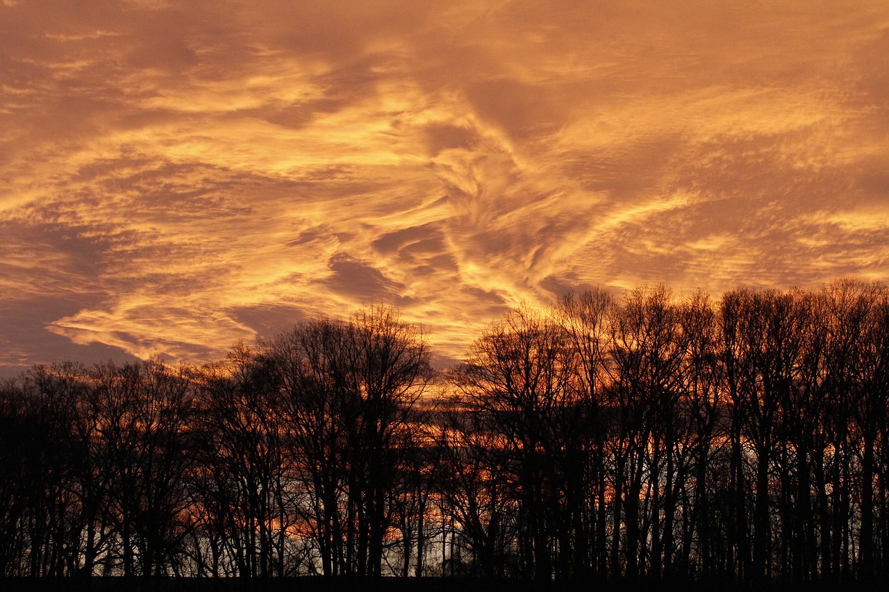 sunset sky nature free photo