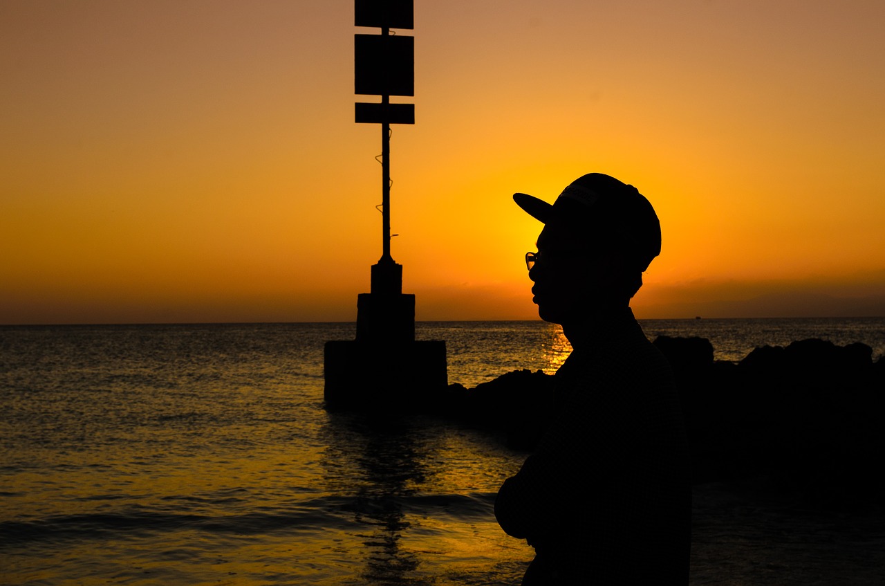 sunset light gold free photo