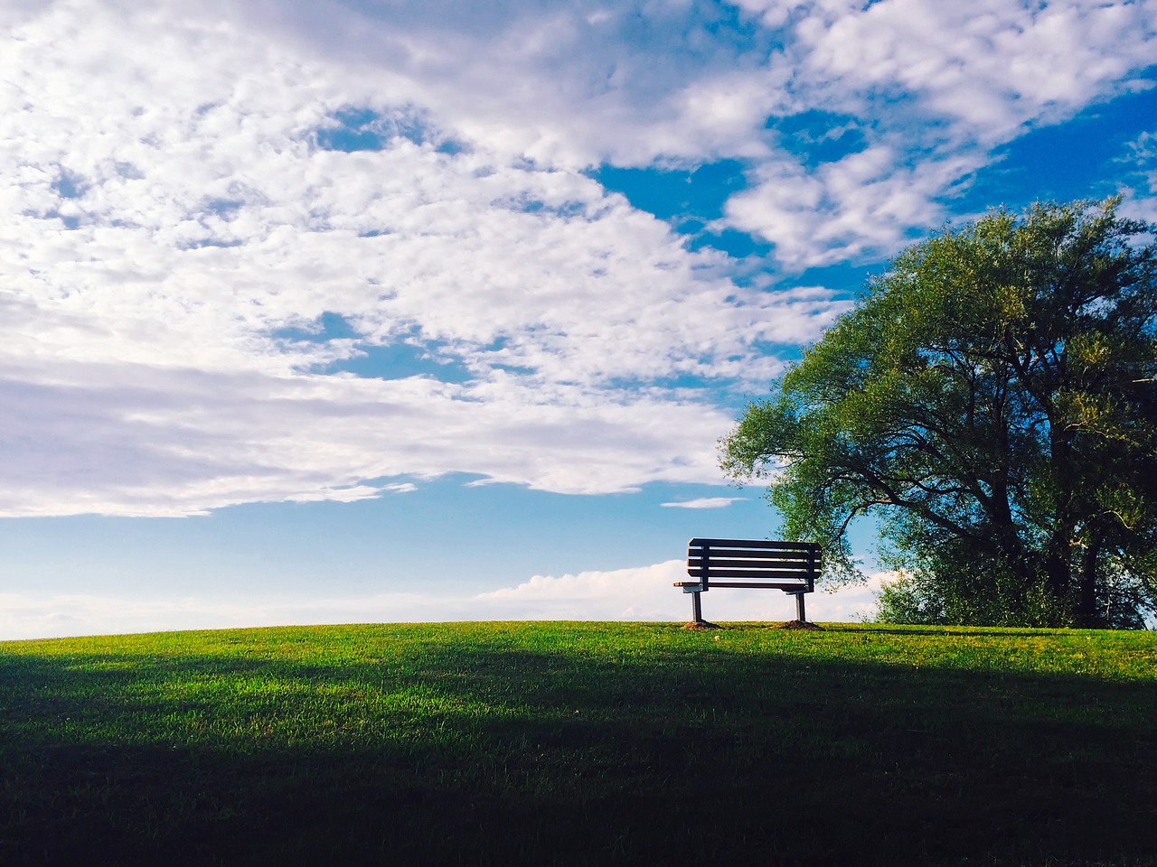 sunset dusk bench free photo