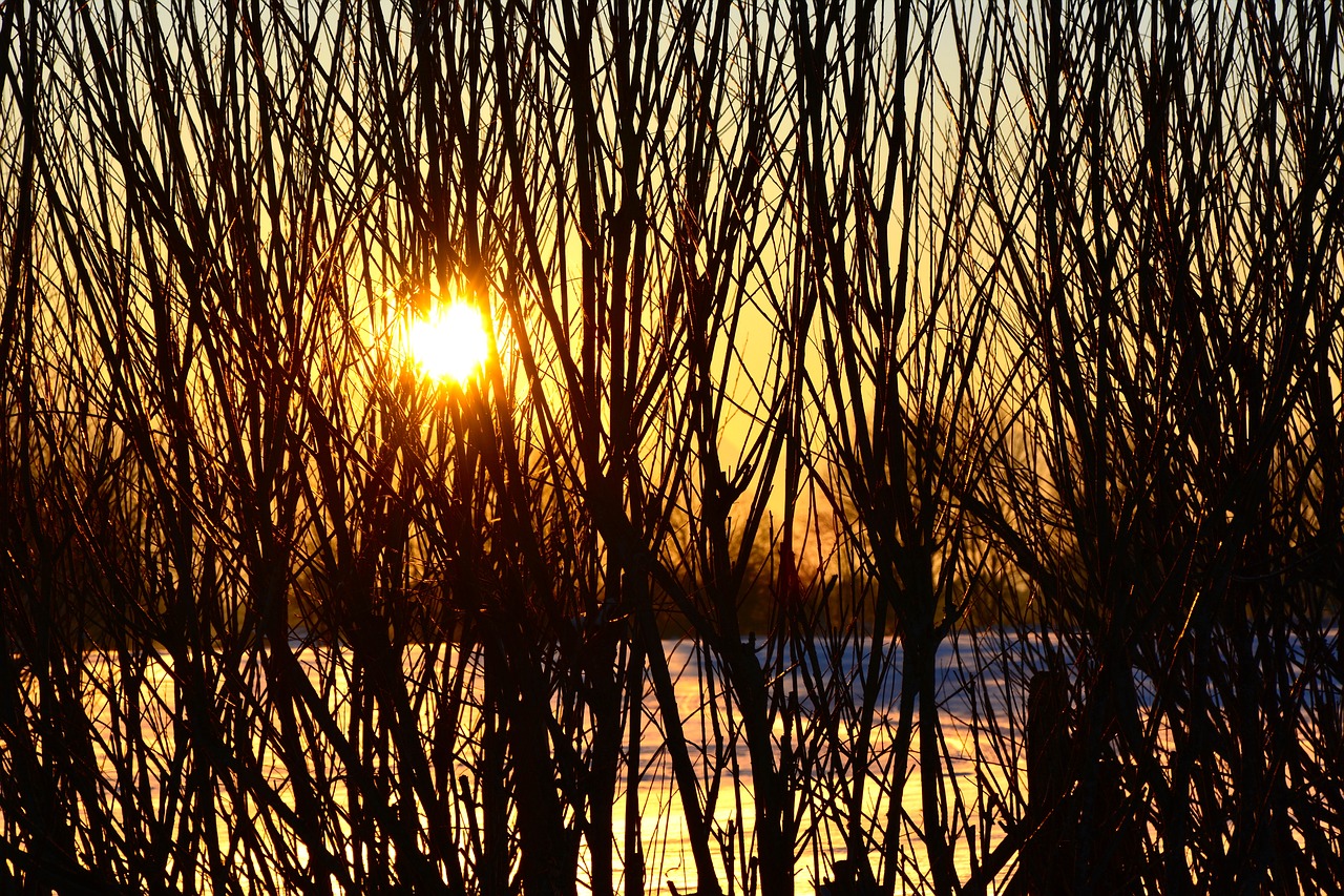 sunset winter wintry free photo