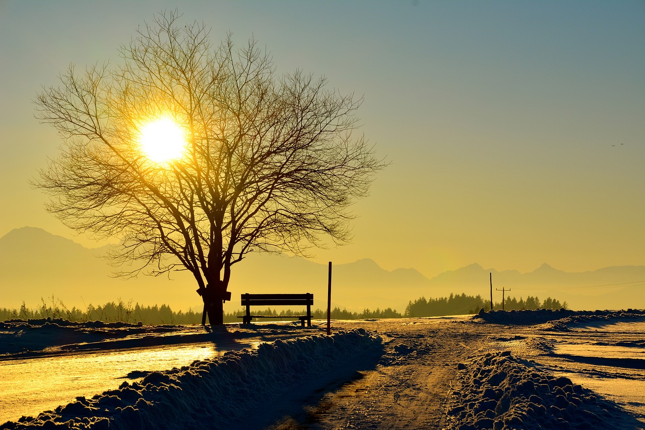 sunset abendstimmung romance free photo