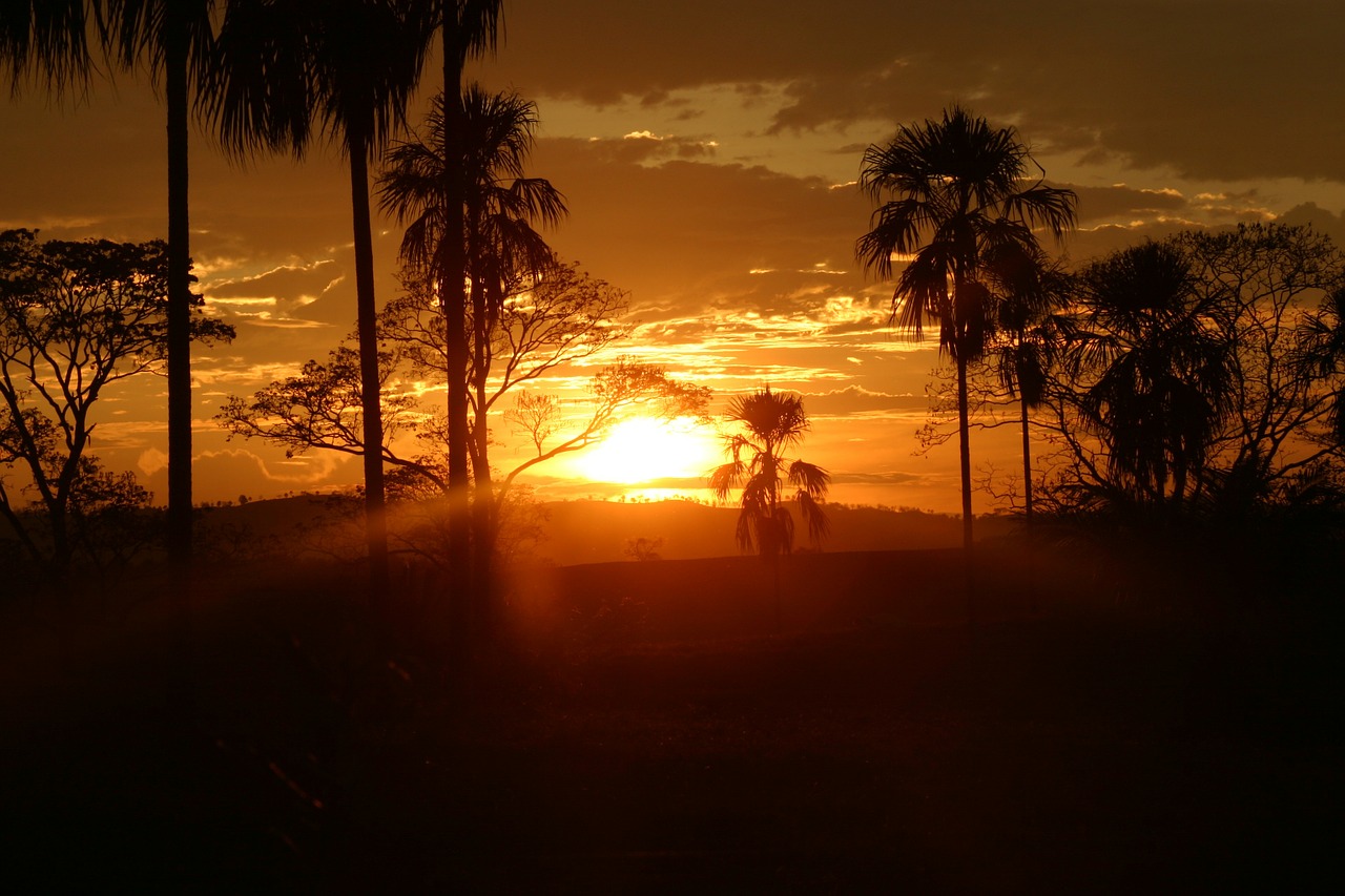 sunset sun red free photo