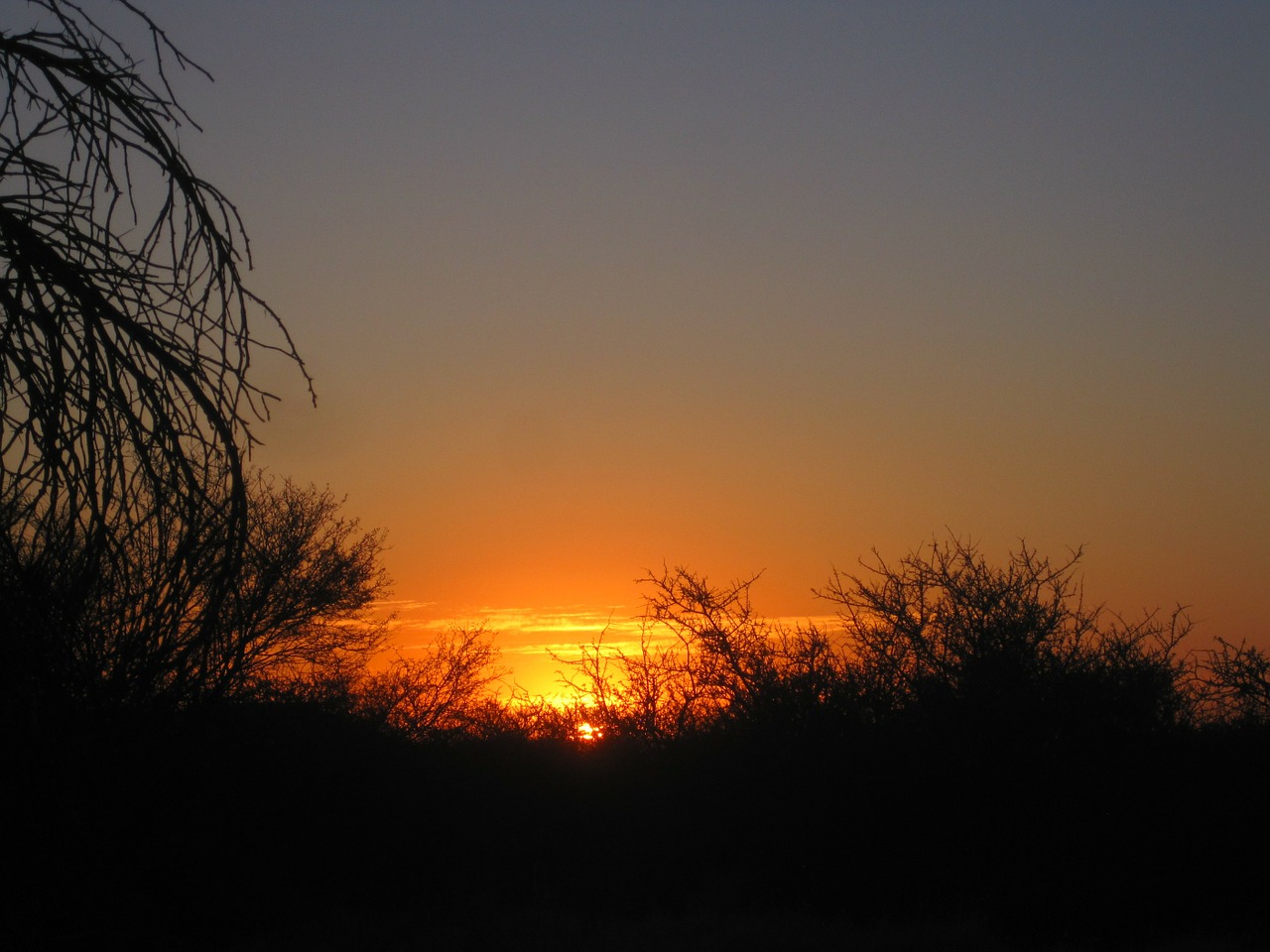 sunset africa bright free photo