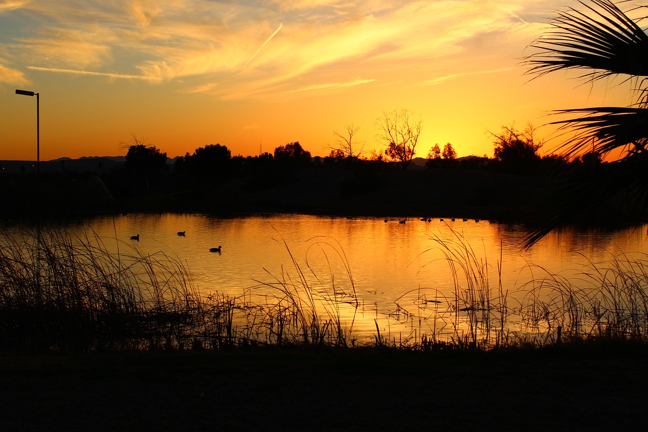 sunset arizona water free photo