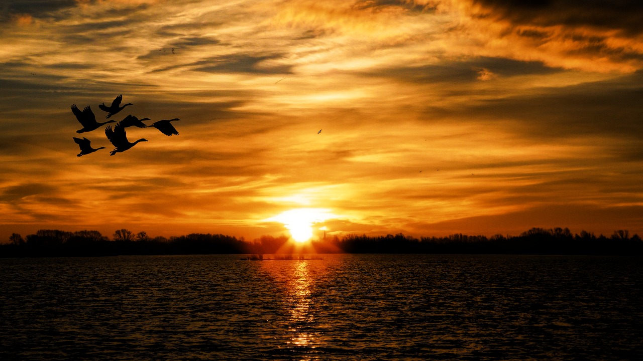 sunset landscape lake free photo