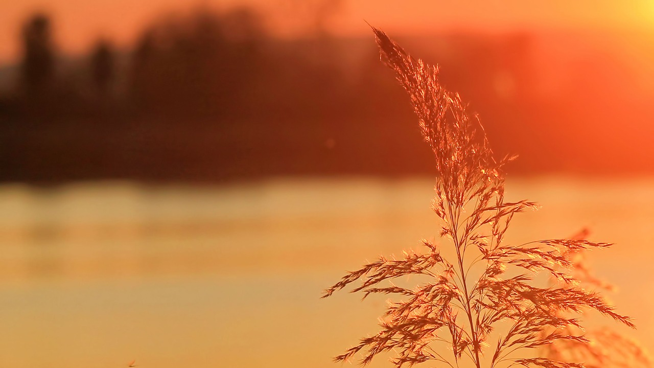 sunset rush abendstimmung free photo