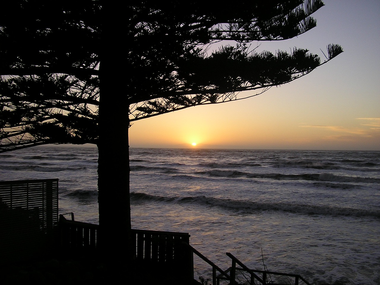 sunset new zealand beach free photo