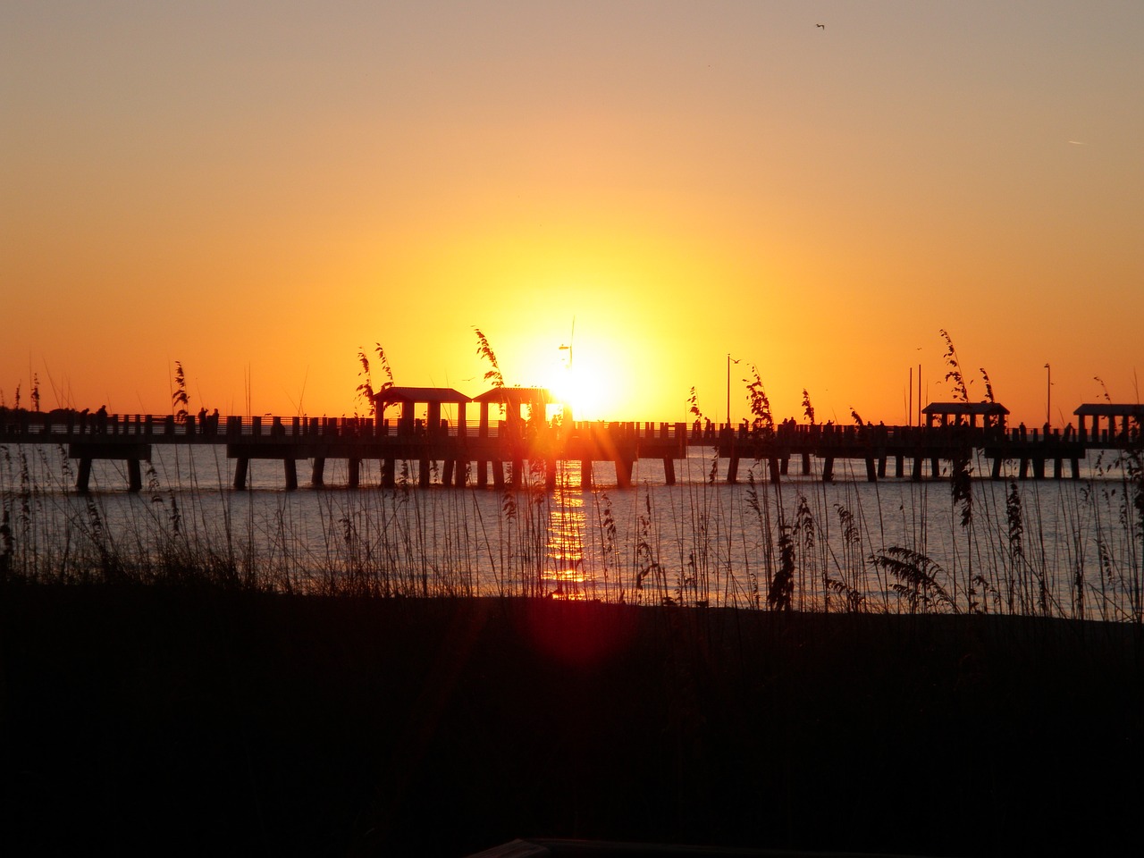 sunset pier reeds free photo