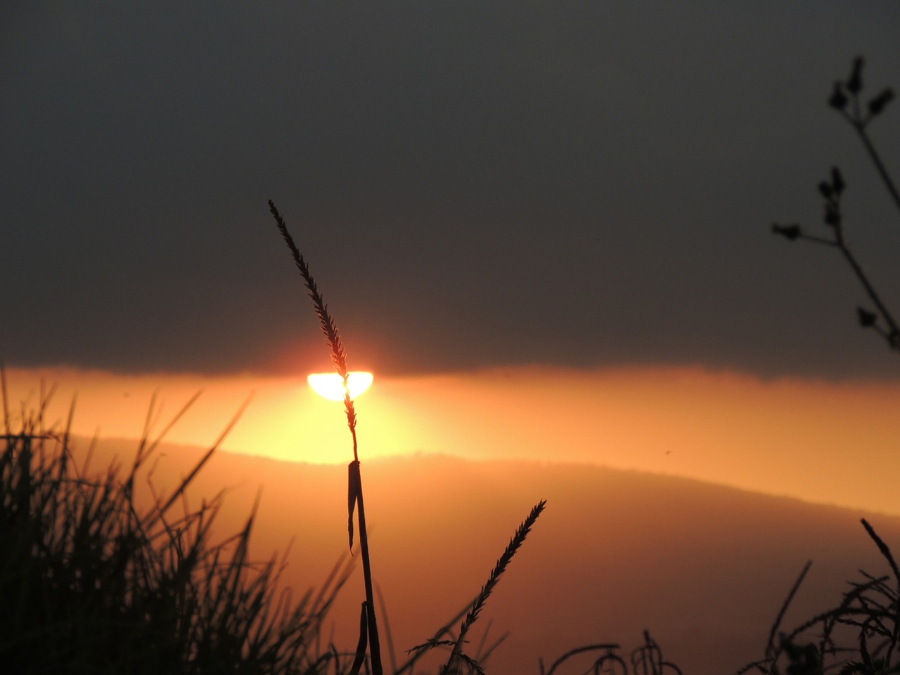 sunset dusk orange free photo