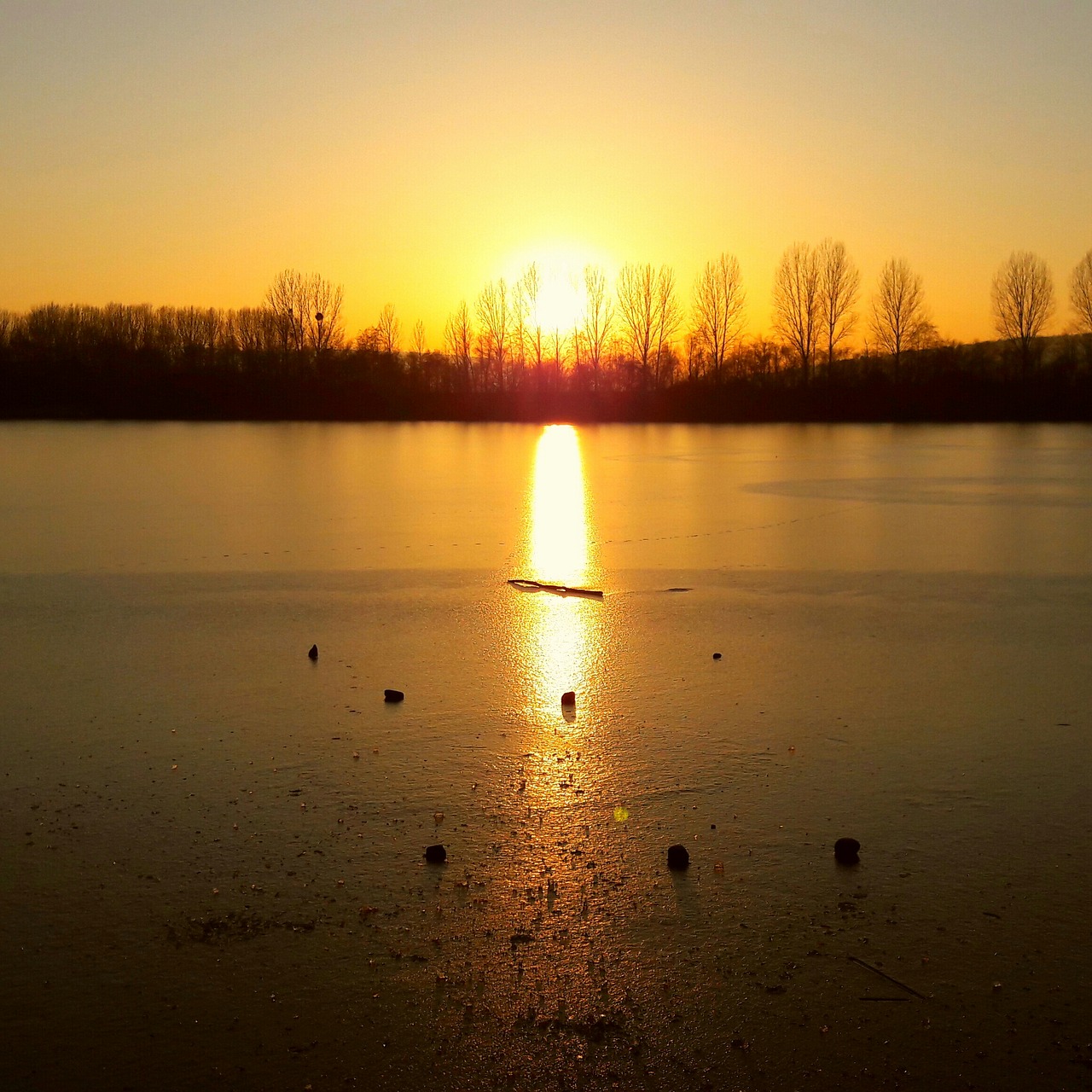 sunset lake trees free photo