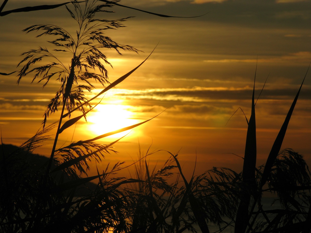 sunset evening sky afterglow free photo