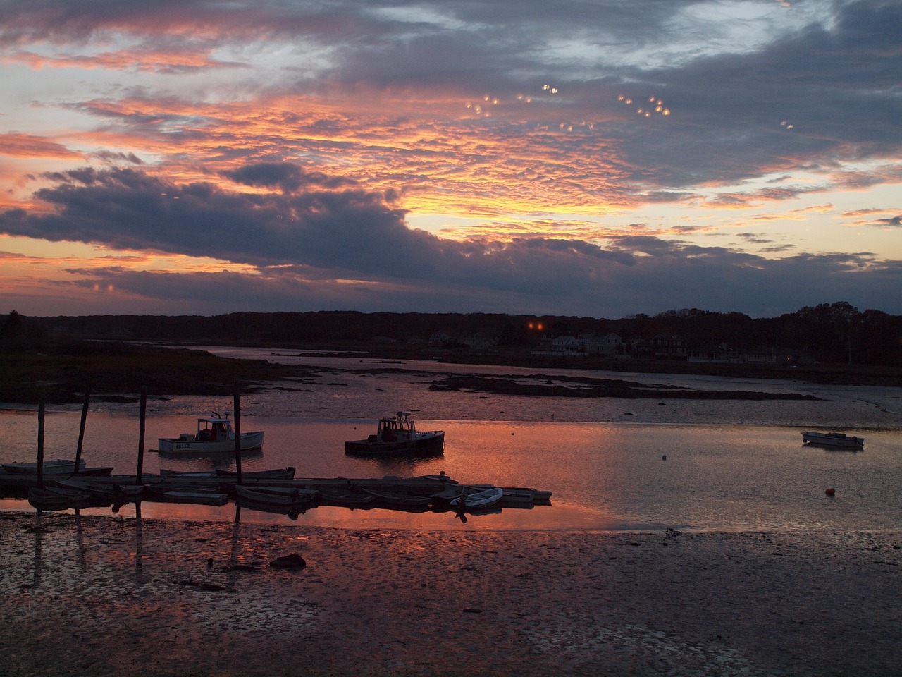 sunset maine ocean free photo