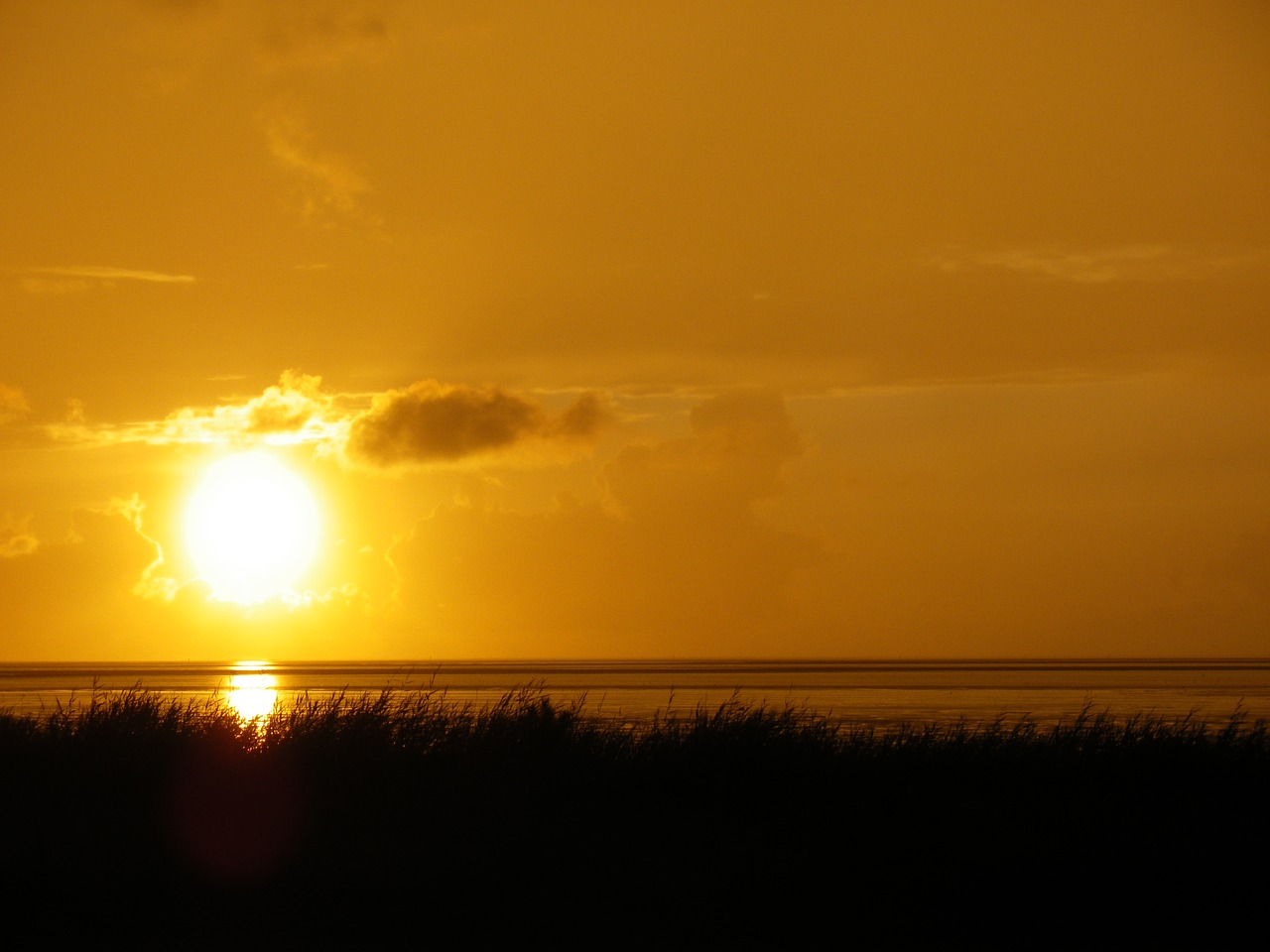 sunset sea north sea free photo