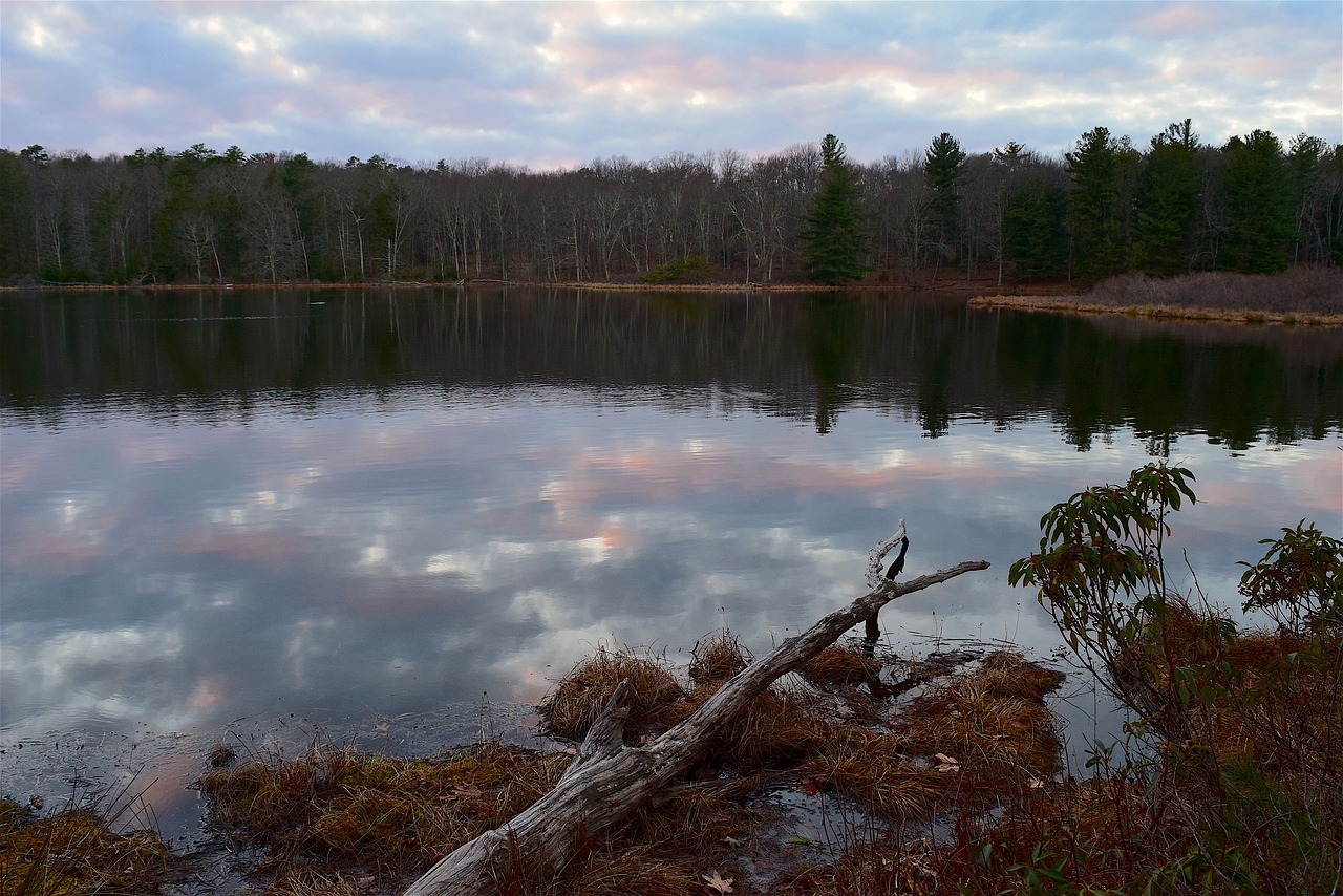 sunset lake trees free photo