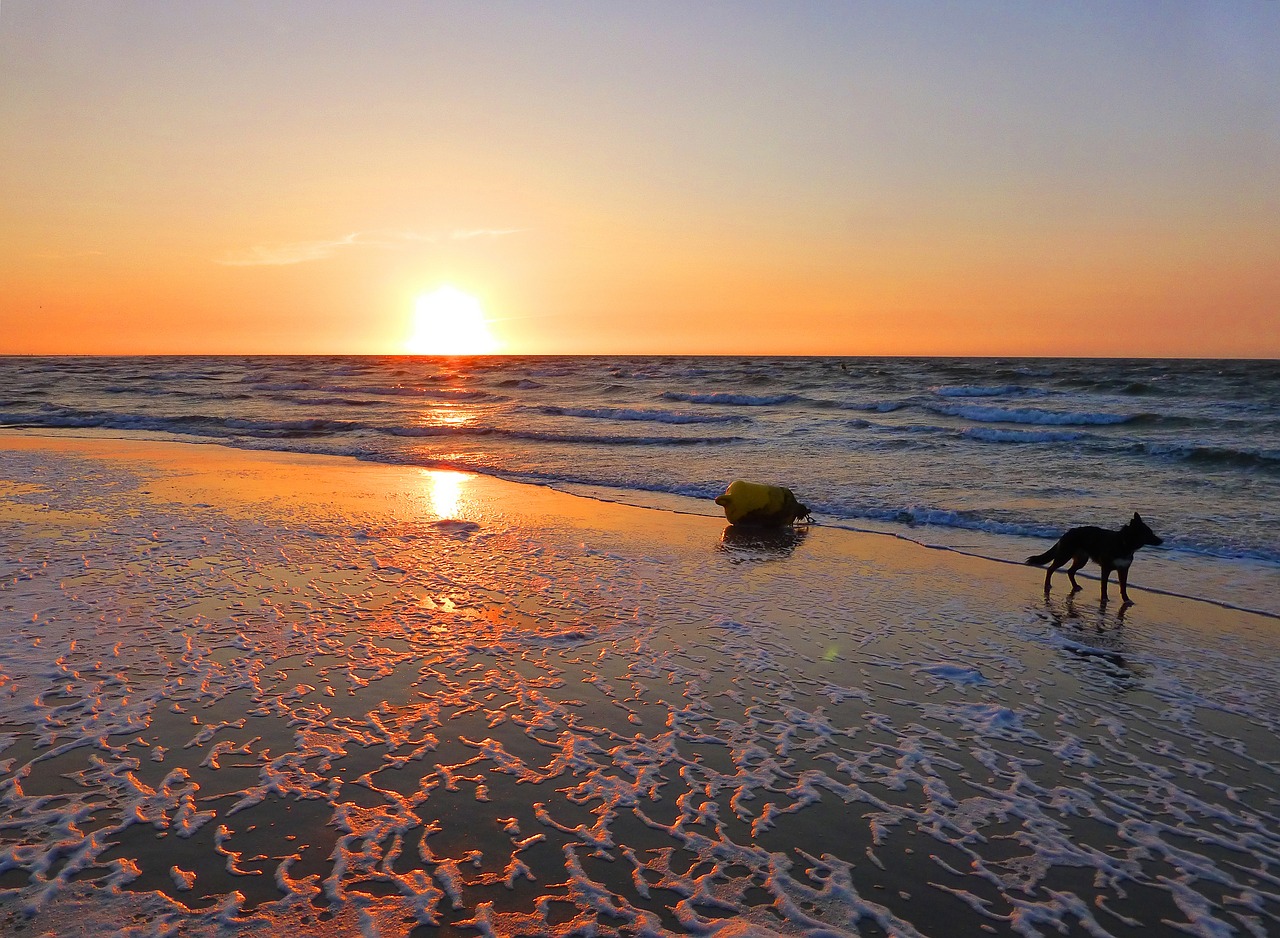 sunset beach zeeland free photo