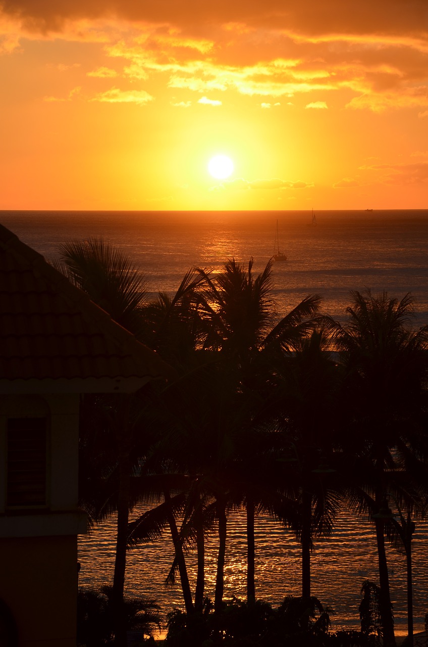 sunset hawaii palms free photo