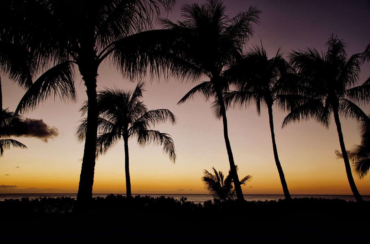 sunset hawaii sun free photo