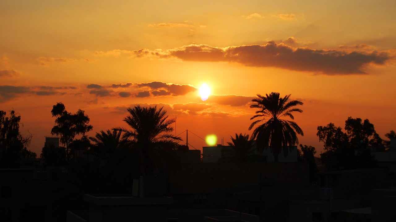 sunset baghdad palm trees free photo