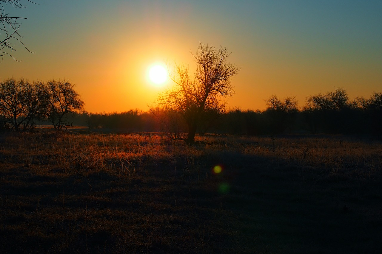 sunset field in the evening free photo