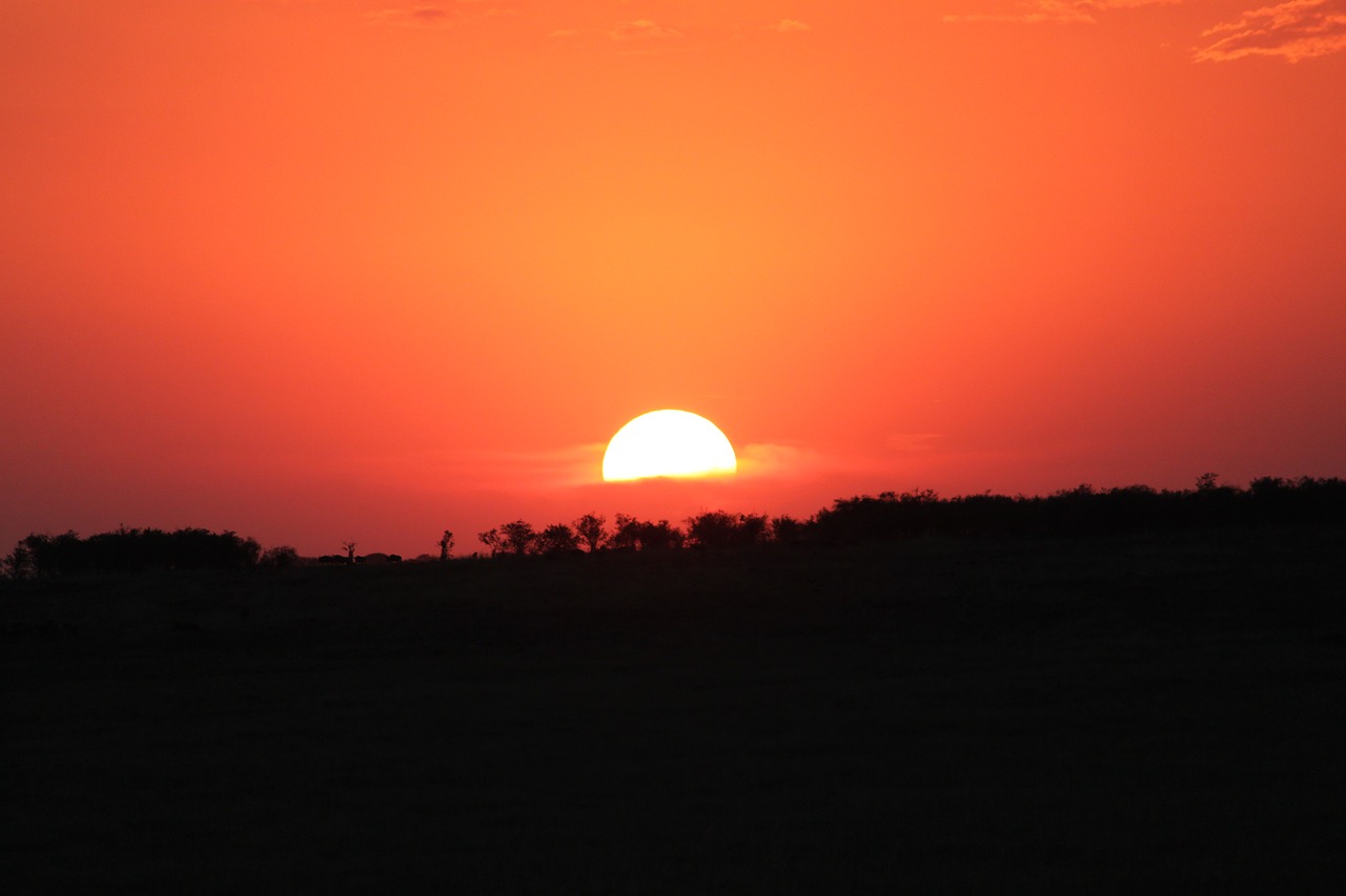 sunset africa seringeti free photo