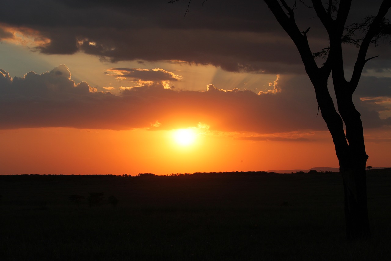 sunset africa sky free photo