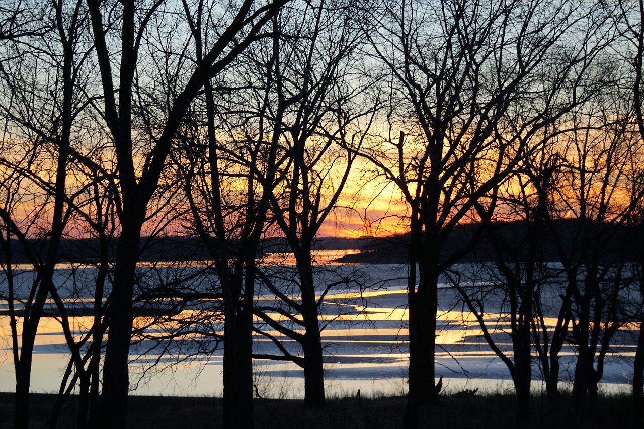 sunset tree winter free photo