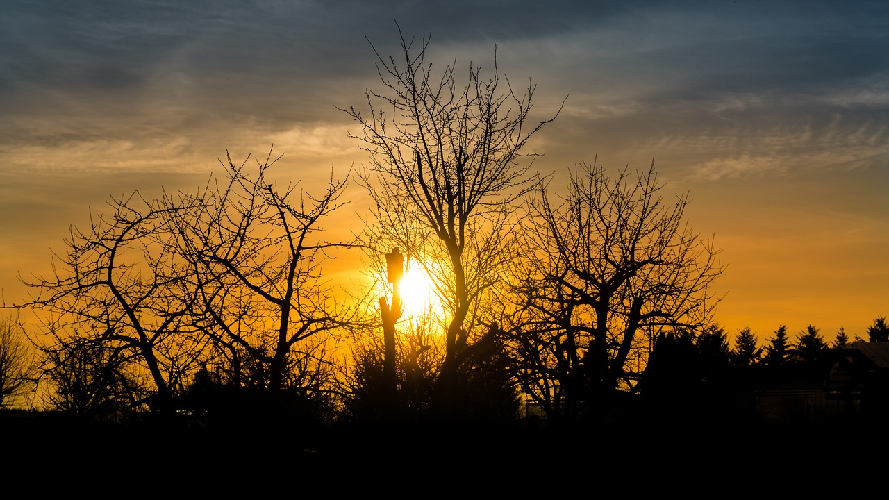 sunset silhouette abendstimmung free photo
