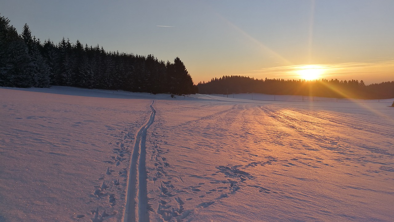 sunset snow winter free photo