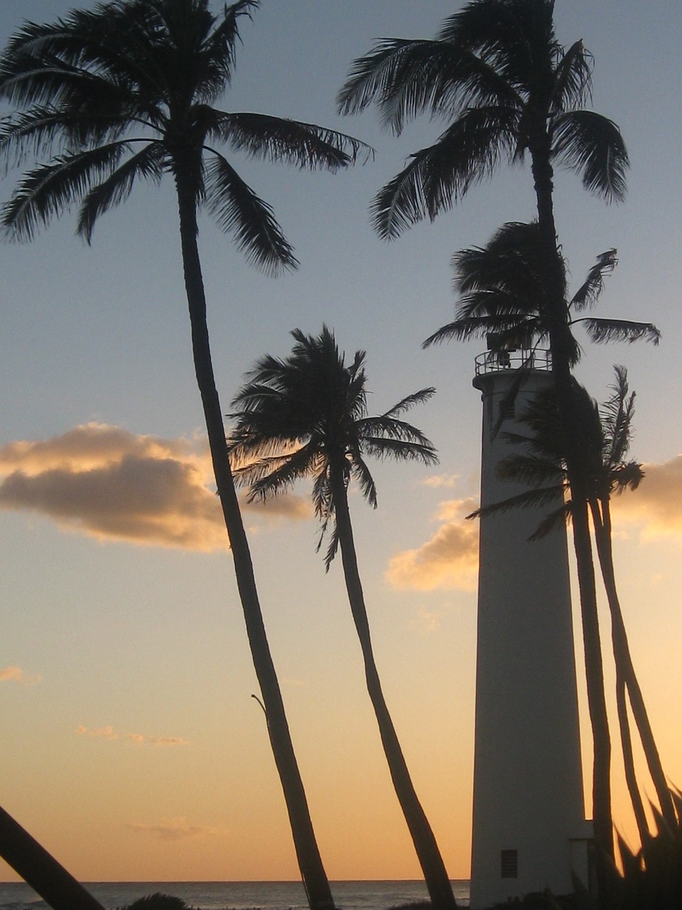 sunset palms lighthouse free photo