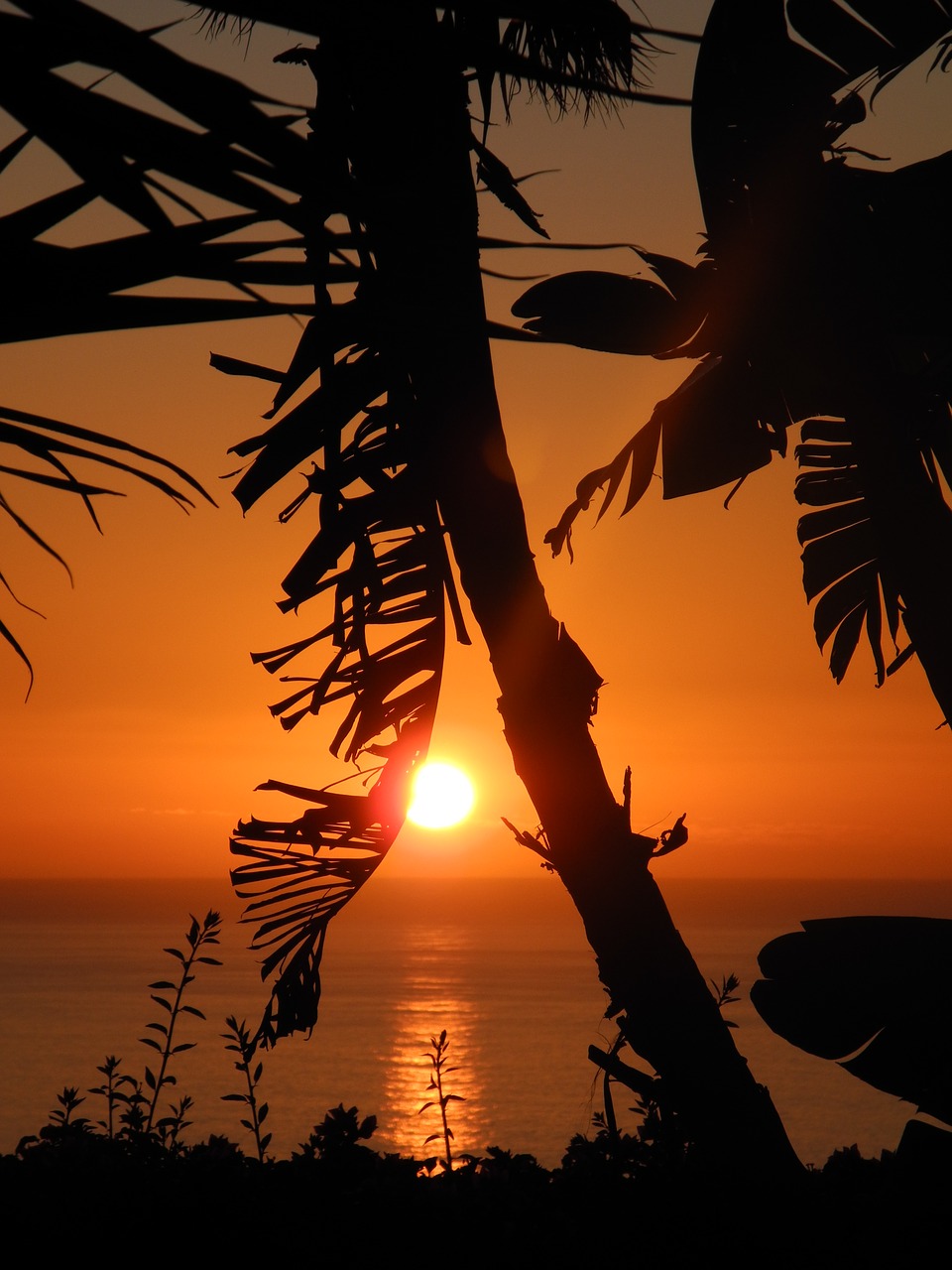 sunset canary islands la palma free photo