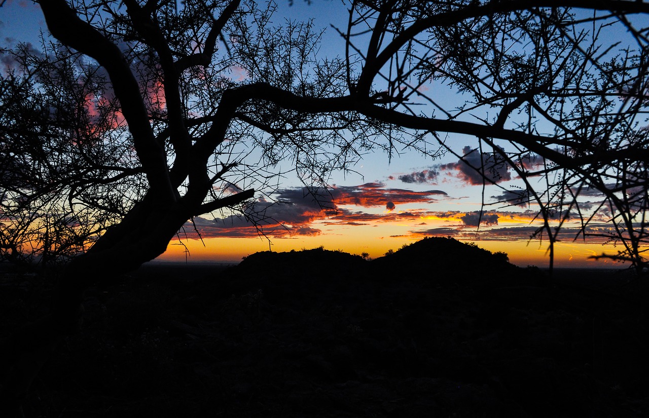 sunset arizona desert free photo