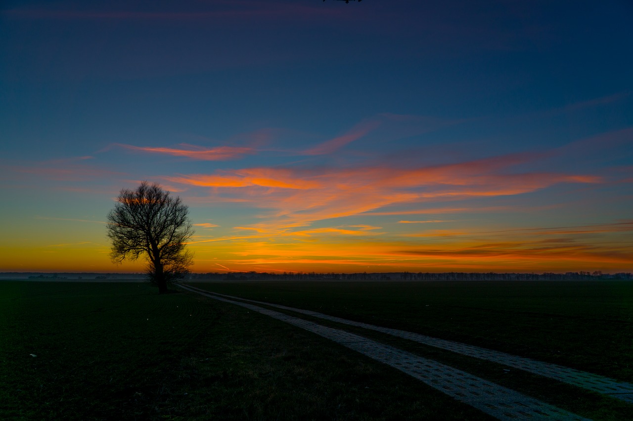 sunset dusk sky free photo