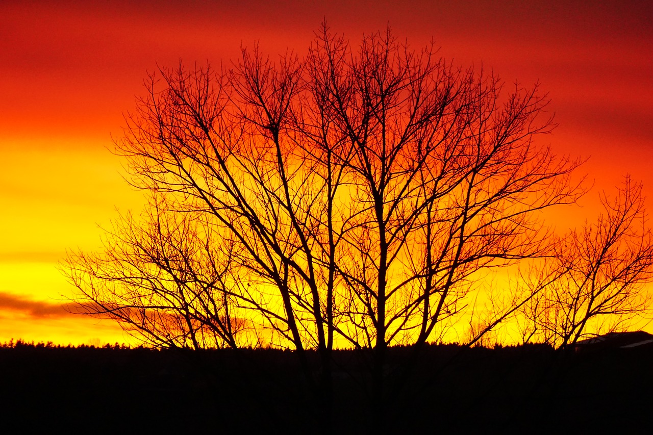 sunset abendstimmung background image free photo