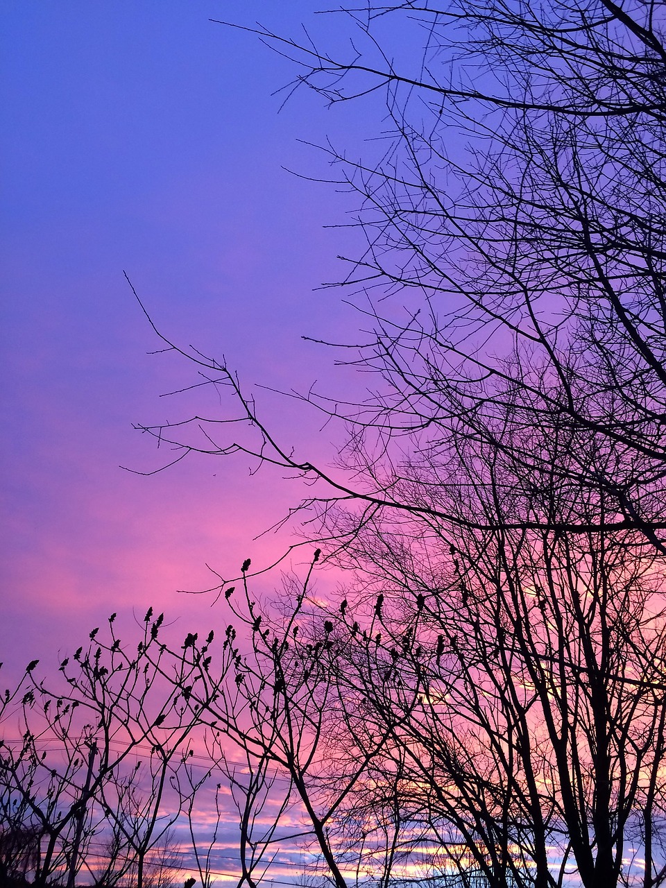 sunset sun melbourne free photo