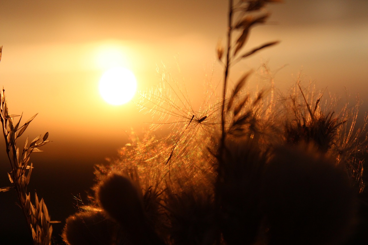 sunset autumn gereide free photo