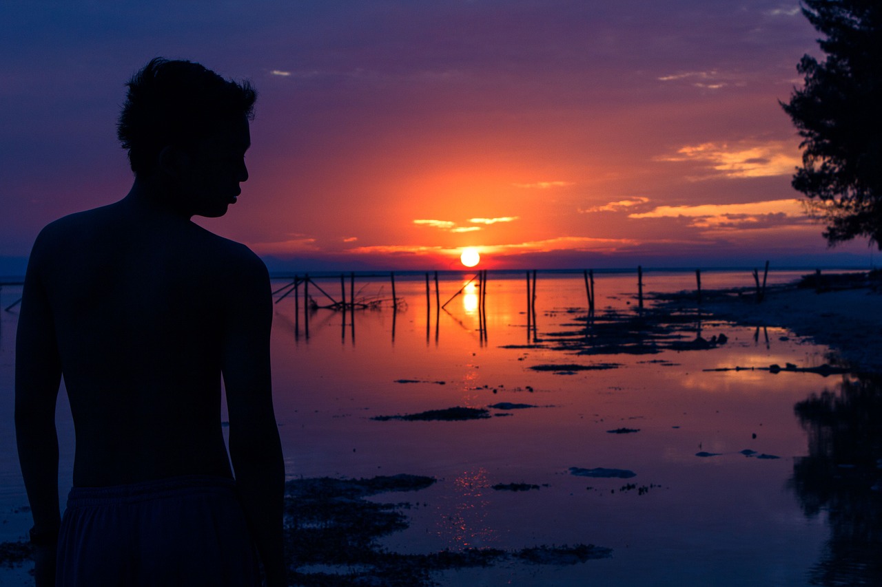 sunset silhouette landscape free photo