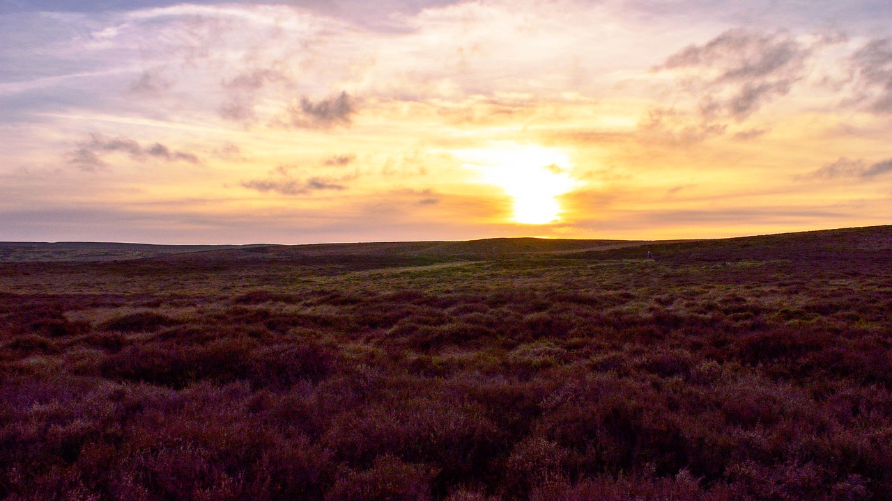 sunset moor nature free photo