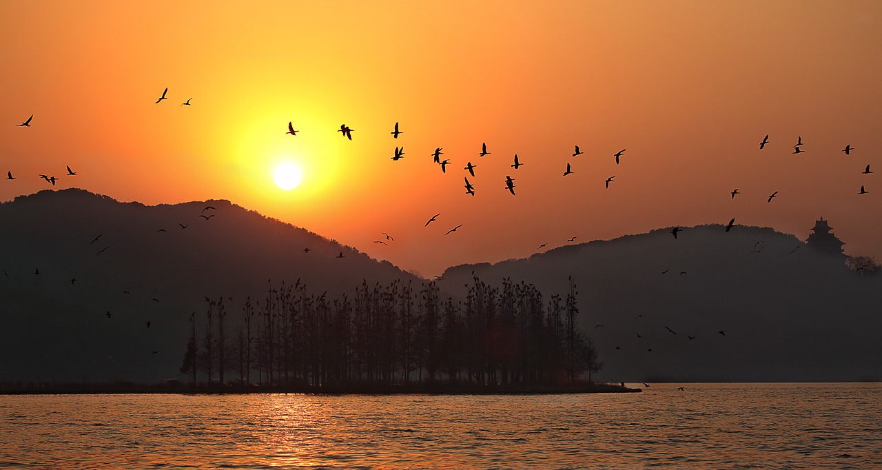 sunset east lake wuhan free photo