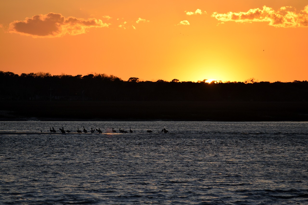 sunset majestic vibrant free photo