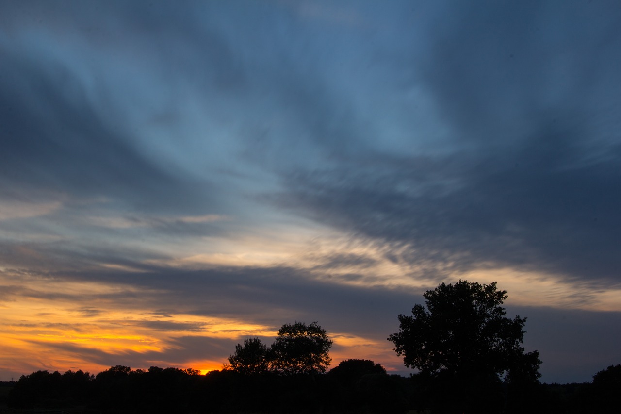 sunset trees silhouette free photo