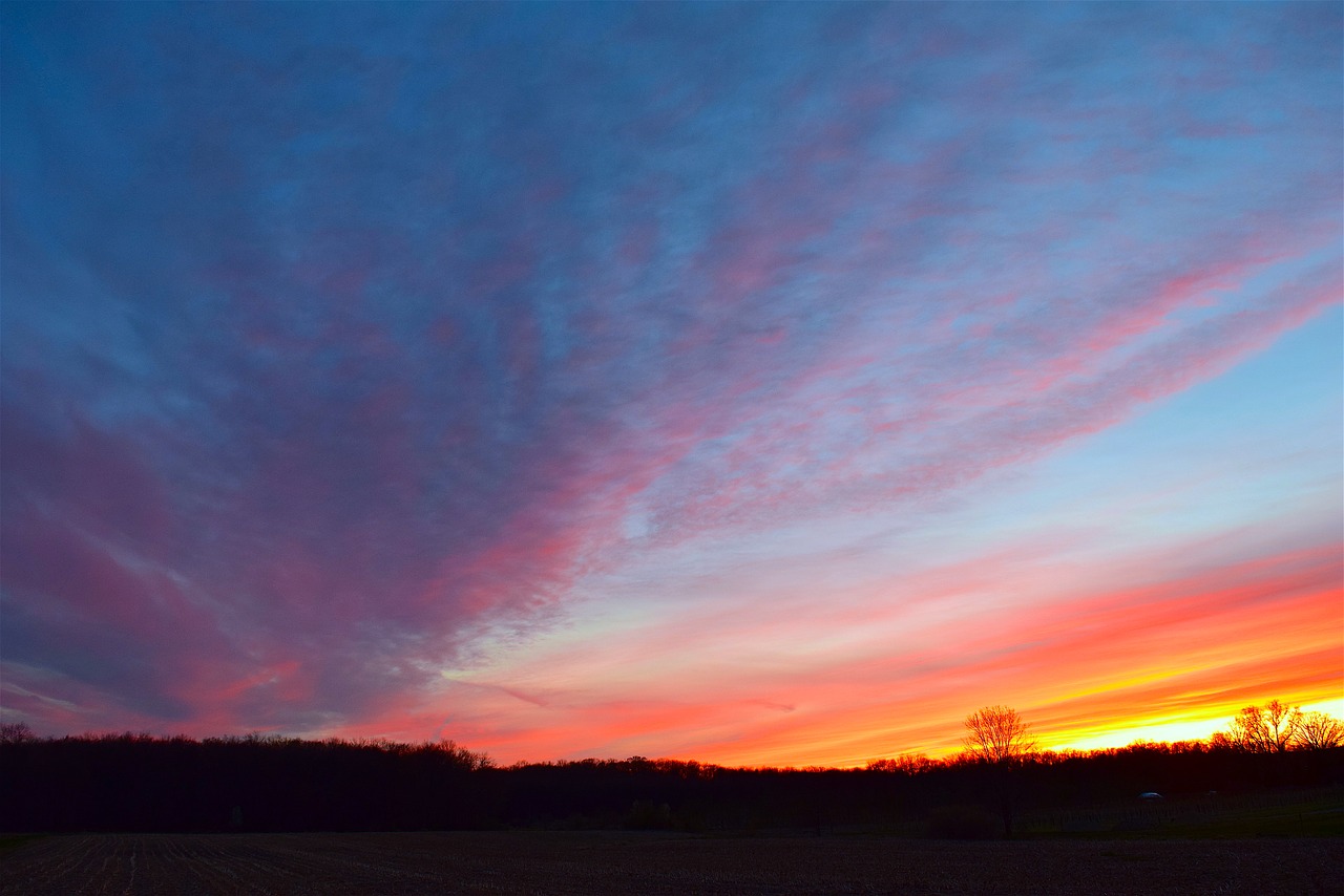 sunset field sky free photo