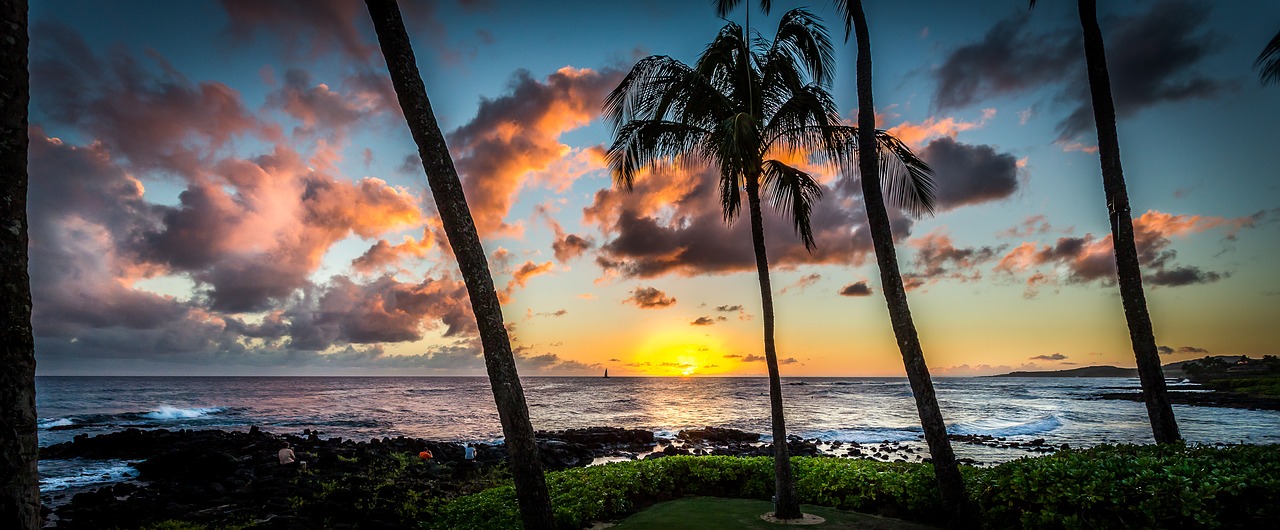 sunset hawaii palms free photo