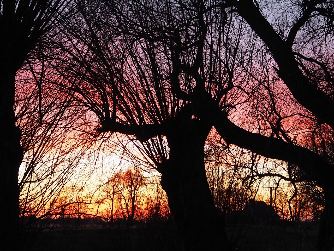 sunset back light silhouette free photo