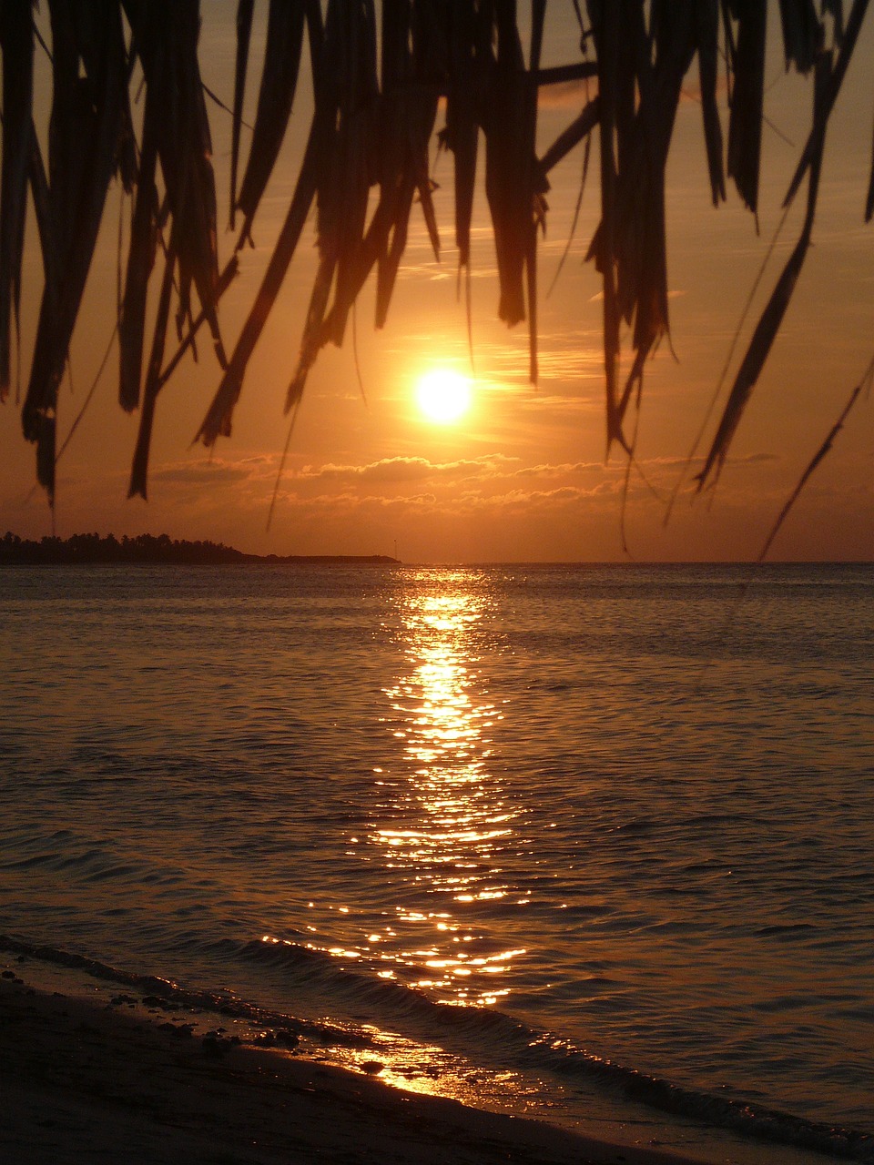 sunset maldives sea free photo