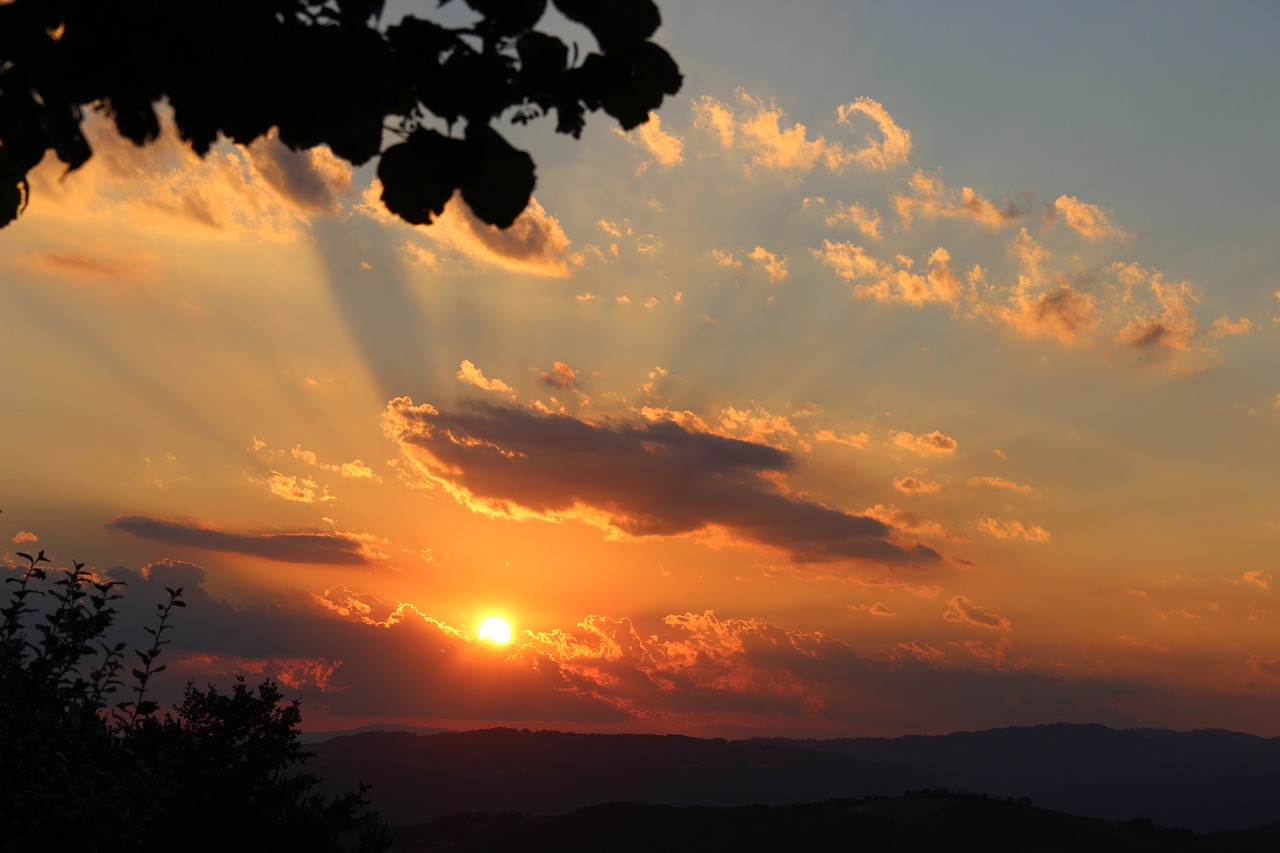 sunset hot leaves free photo