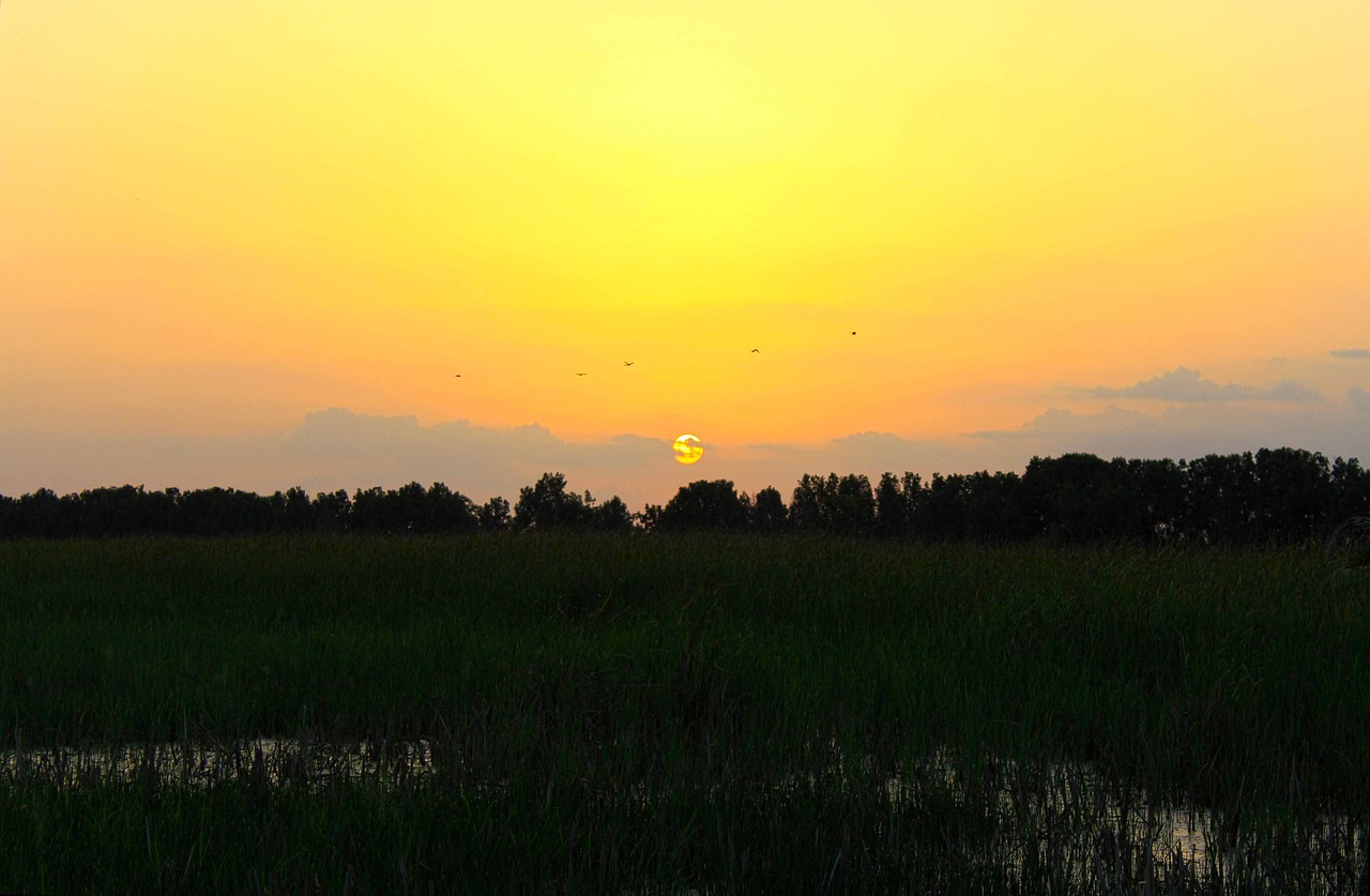 sunset landscape nature free photo