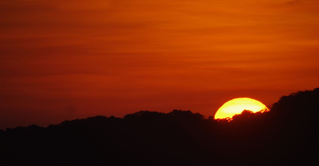 sunset duck sky free photo